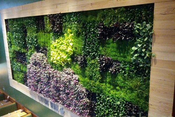 Feature green wall in Applebee’s in Harlem, New York City