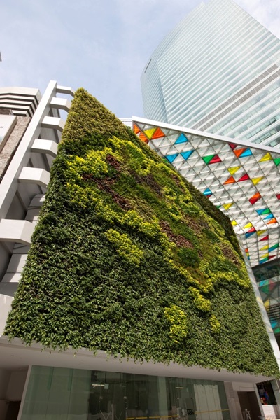 Green wall feature at Ocean Financial Centre, Singapore