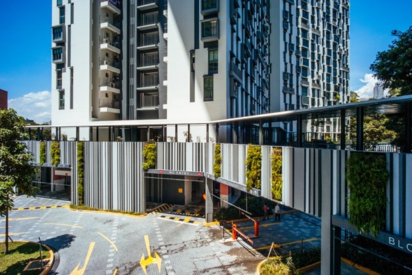 green wall installations at Pinnacle@Duxton