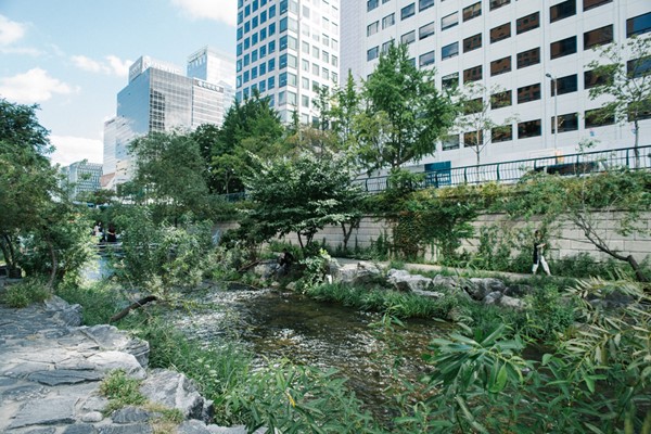 Lushly planted greenery in Cheonggyecheon