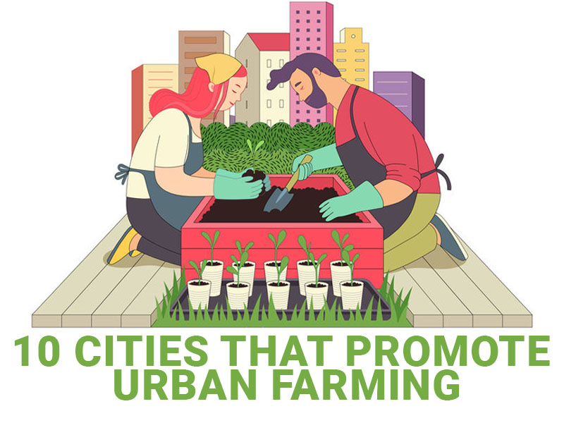 Urban farming