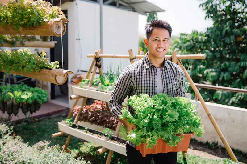 Urban agriculture