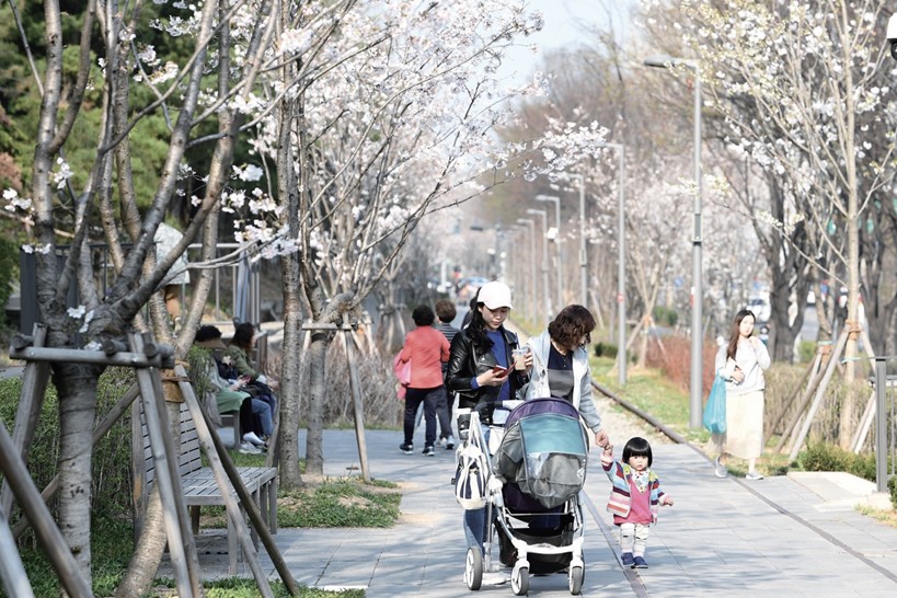 The new Gyeongchun Line Forest Park