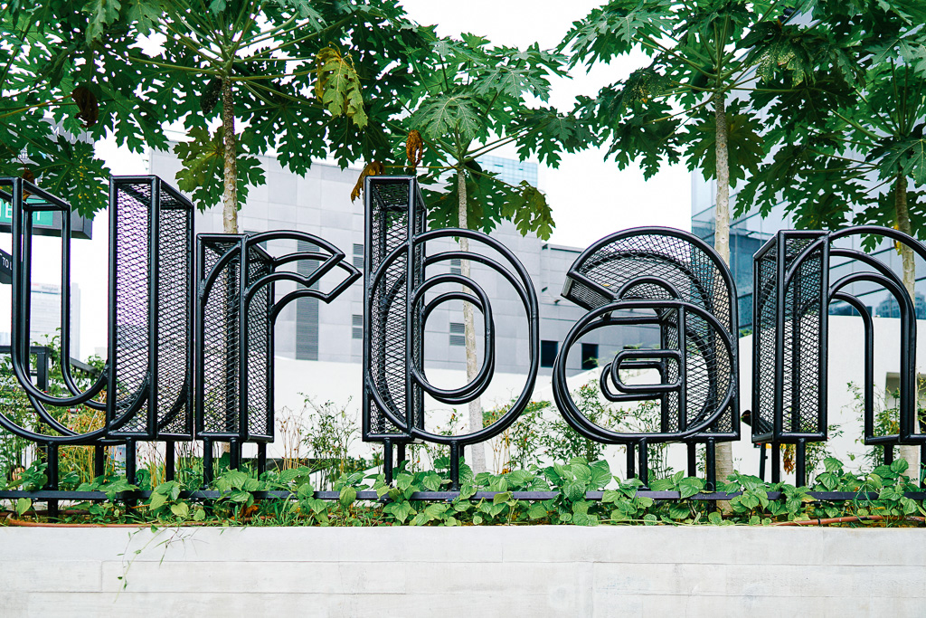 A rooftop urban farm in Singapore