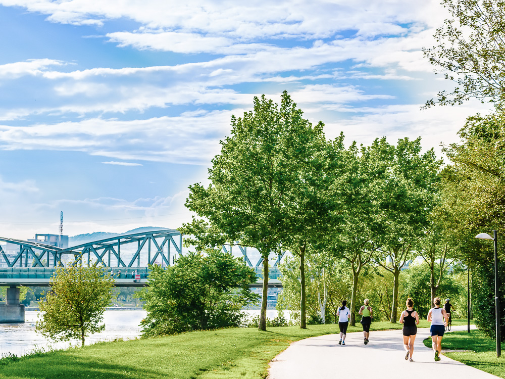 Danube Island