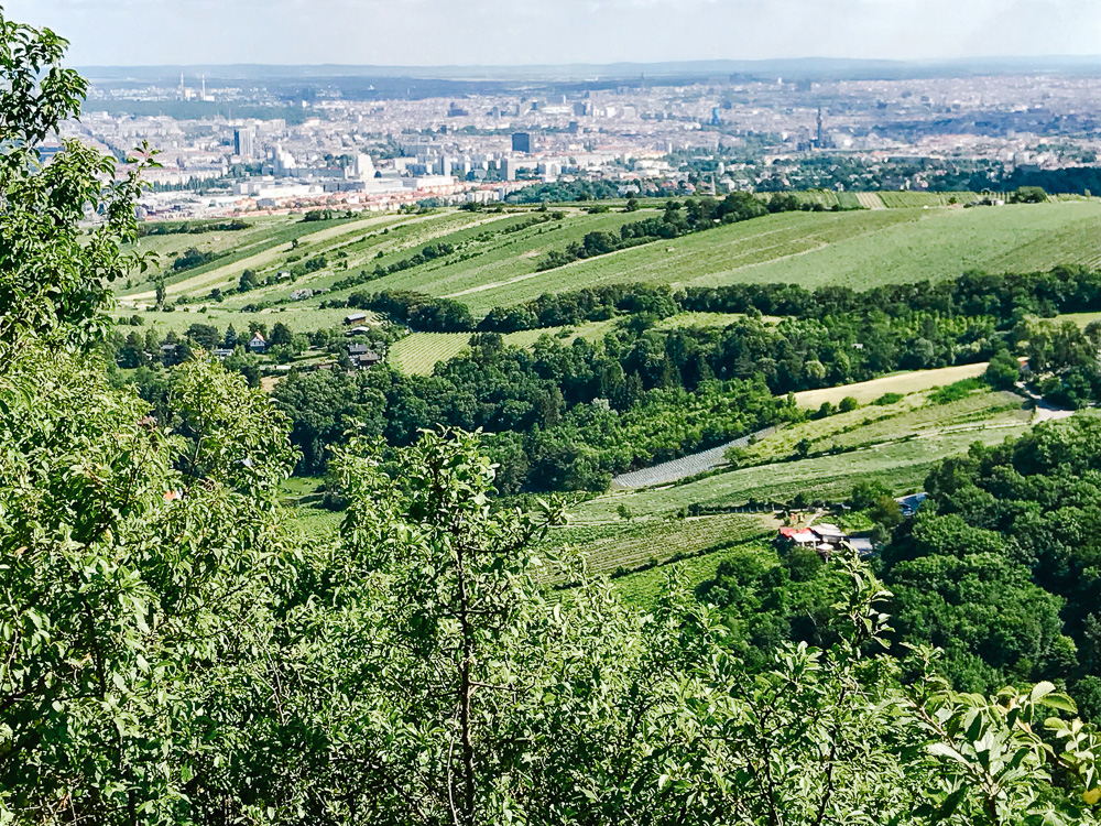 Vienna preserves over 50% of its land areas as green spaces