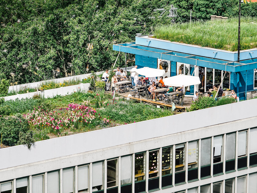 A rooftop rainwater collection and management system in Rotterdam